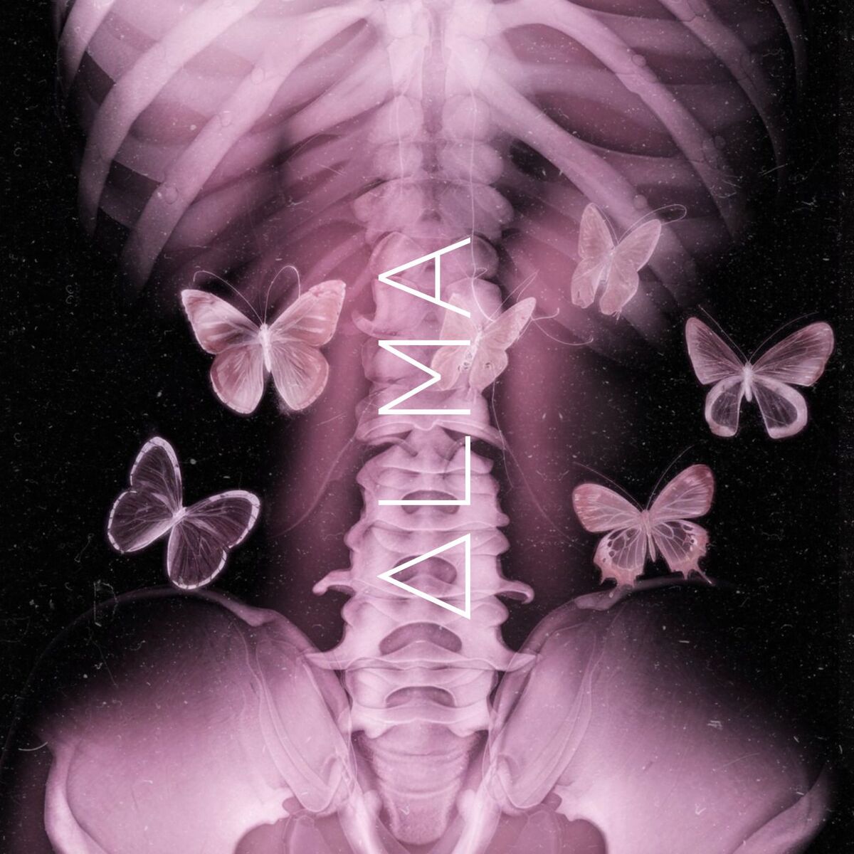 Album cover of ALMA