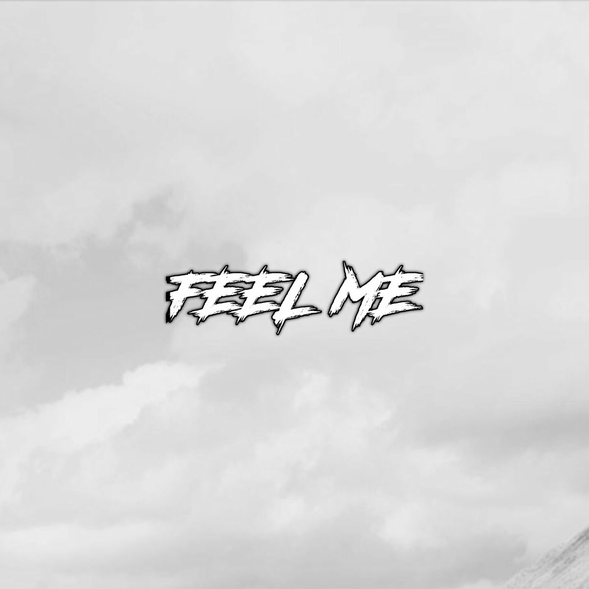 Album cover of Feel Me