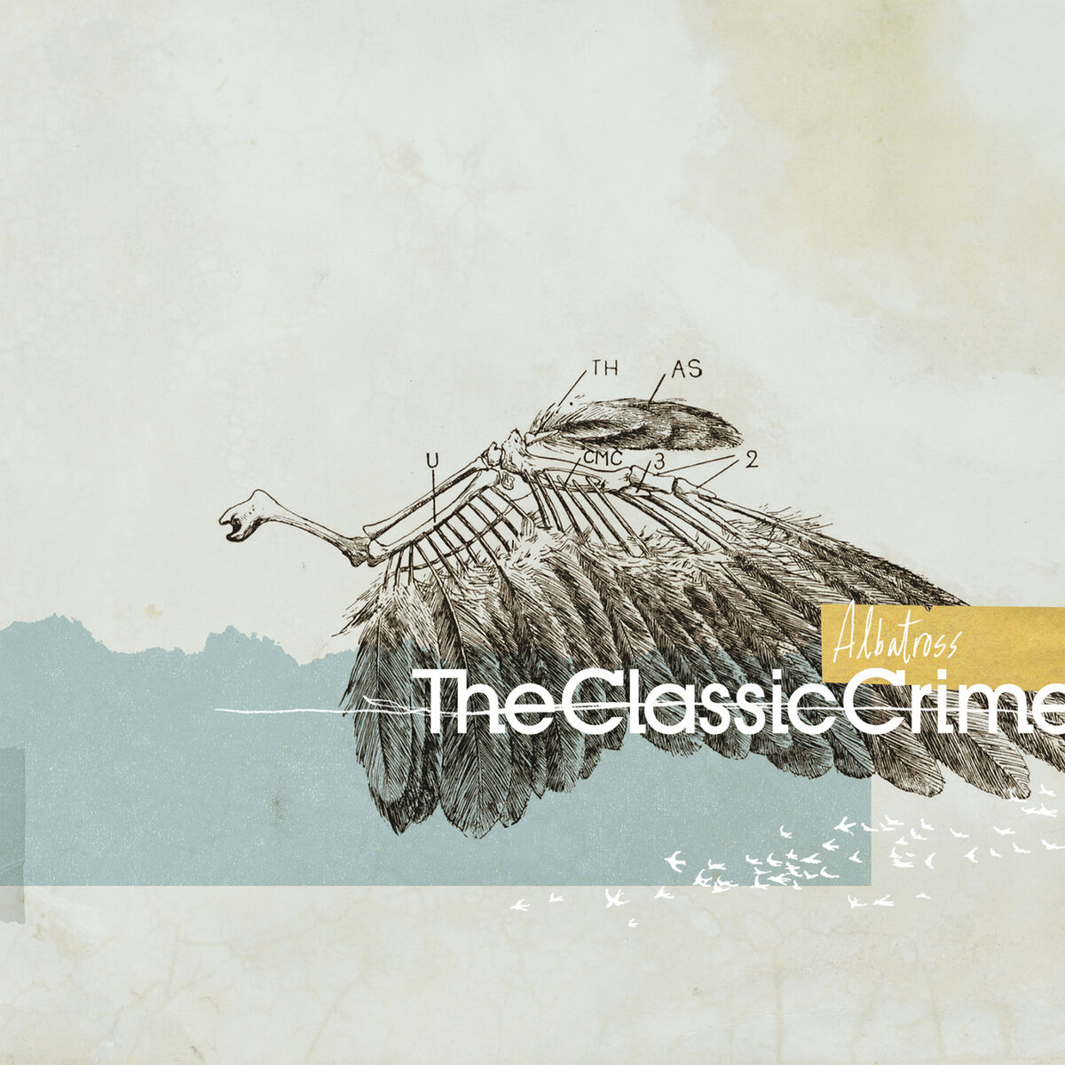 Album cover of Albatross