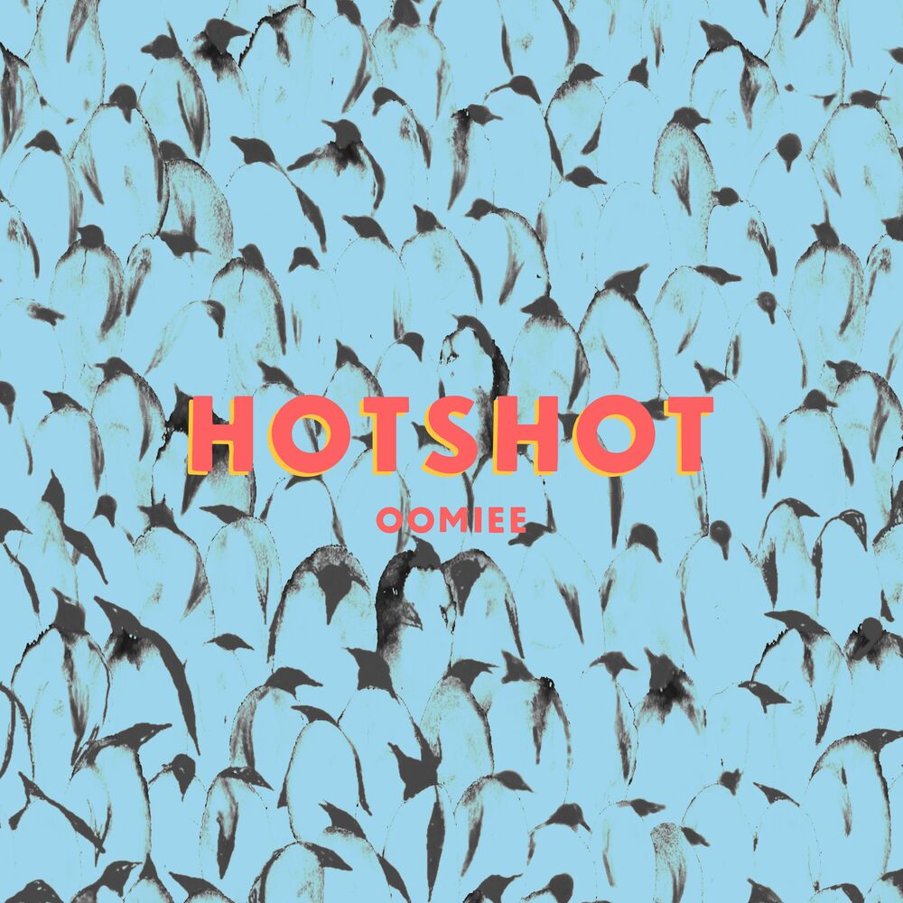 Picture of Hotshot