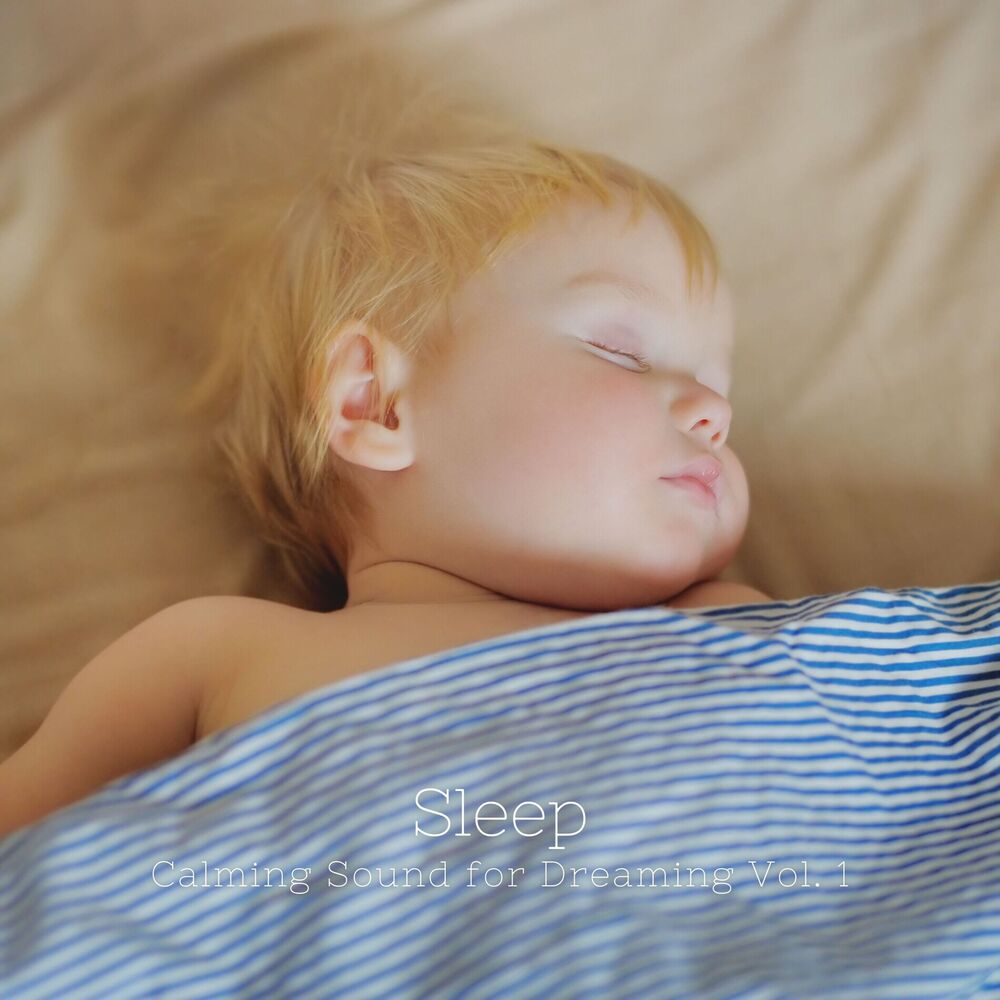 Picture of Sleep: Calming Sound for Dreaming Vol. 1