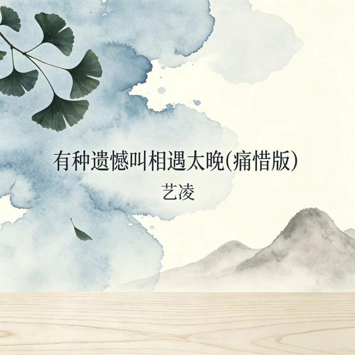有种遗憾叫相遇太晚 (痛惜版)
