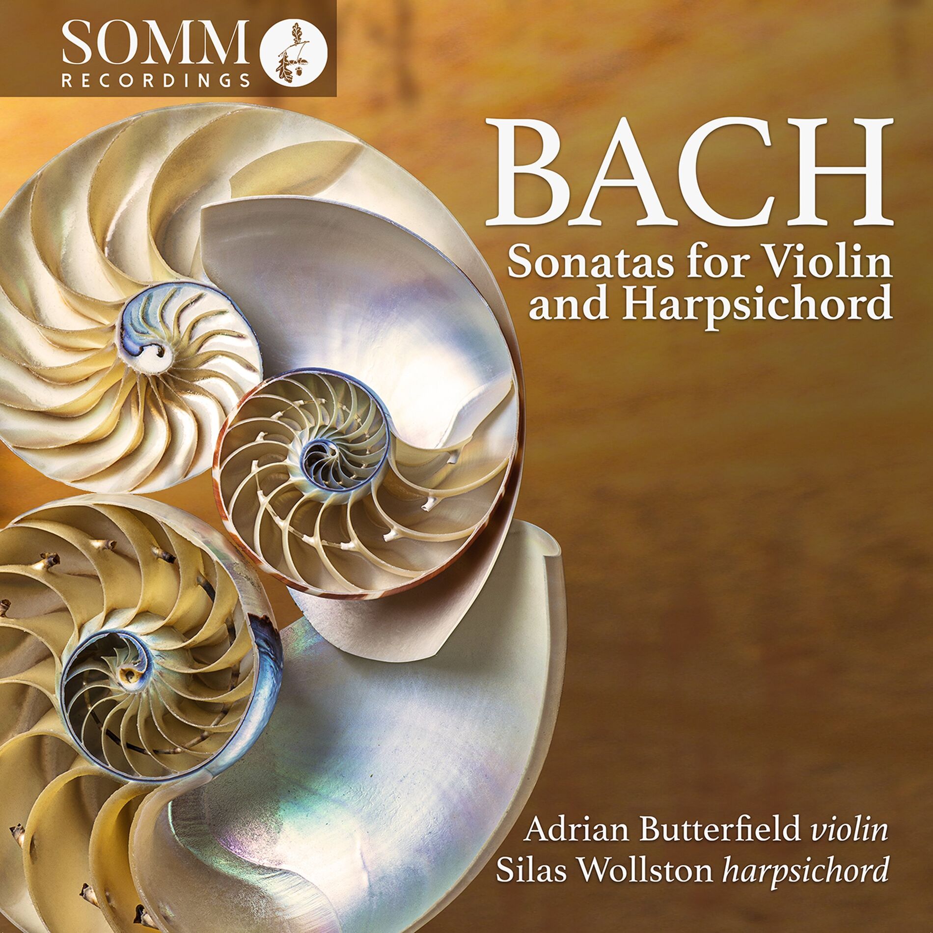 Album cover of Sonata in E Minor Bwv 1023: Ii. Adagio ma non tanto