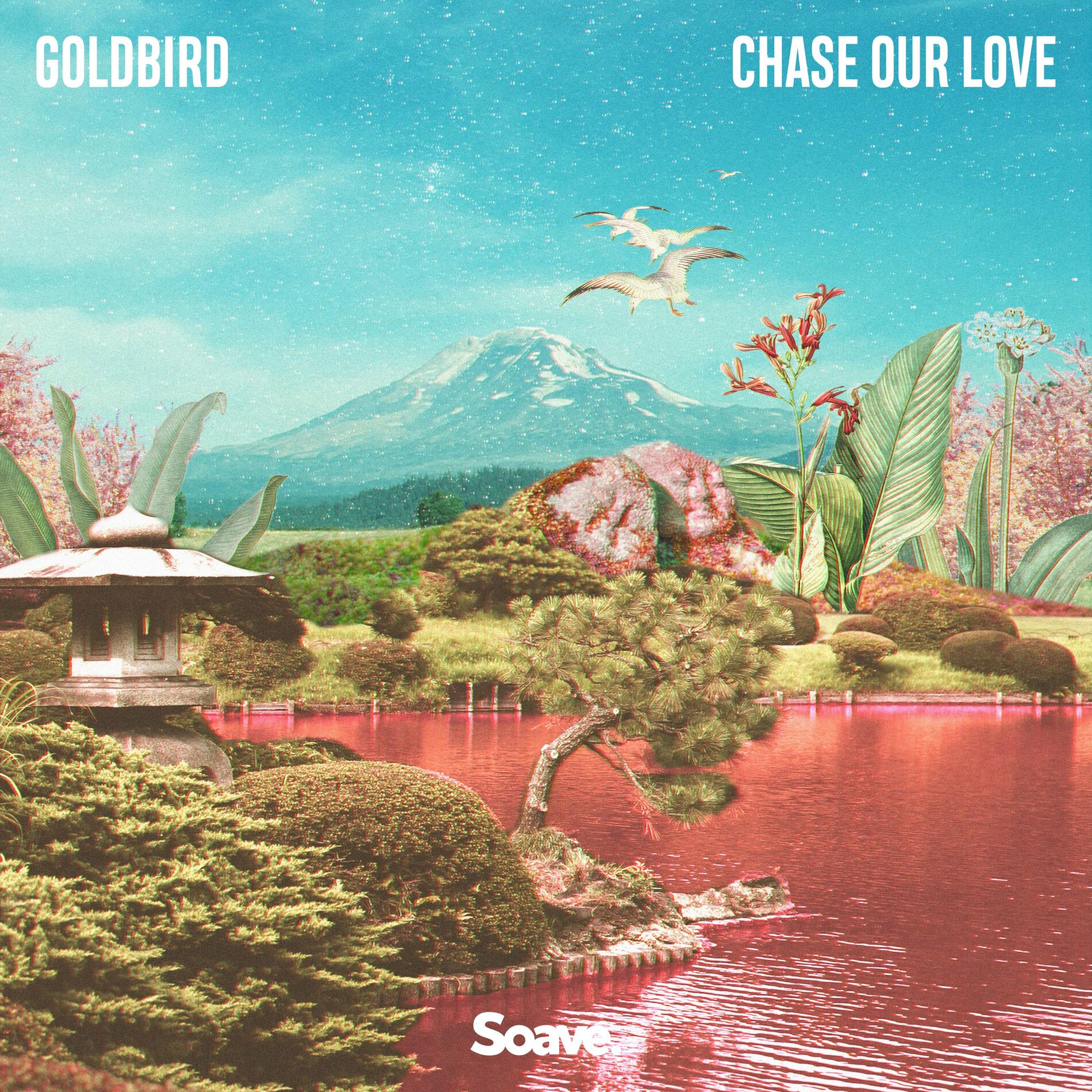 Album cover of Chase Our Love