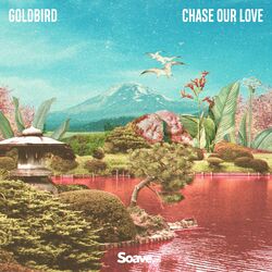 Cover of Chase Our Love