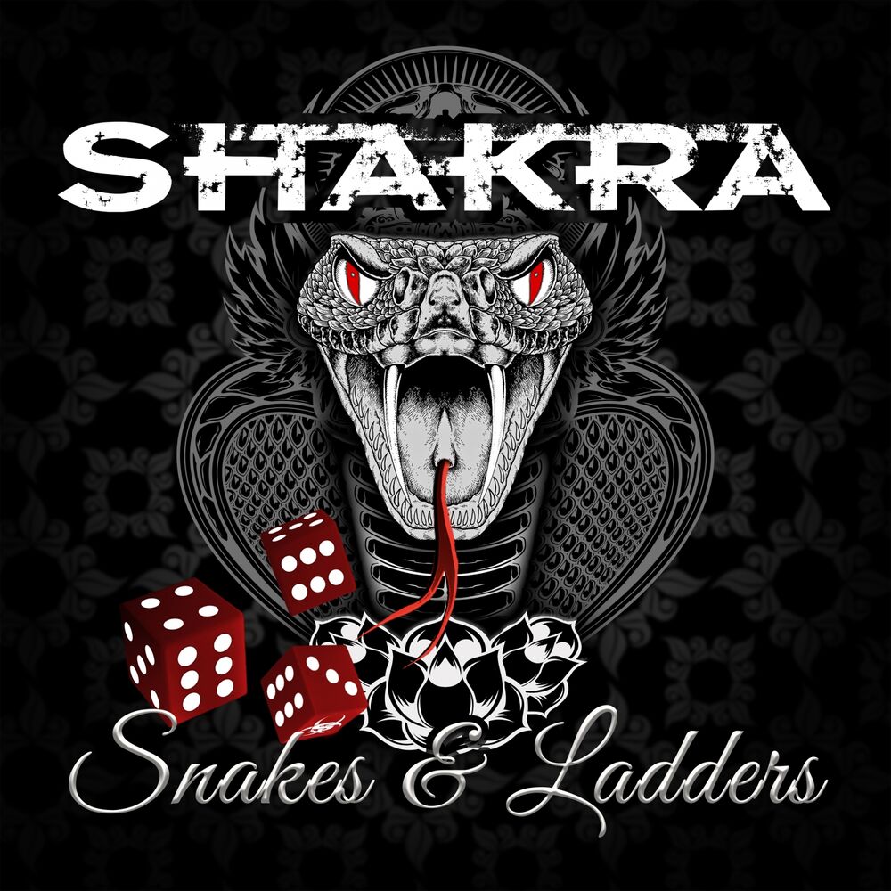 Picture of Snakes & Ladders