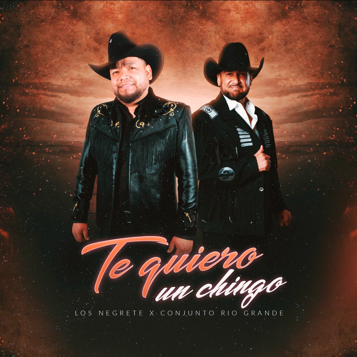 Album cover of Te quiero un chingo