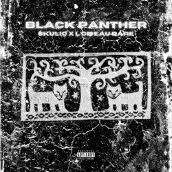 Cover of BLACK PANTHER