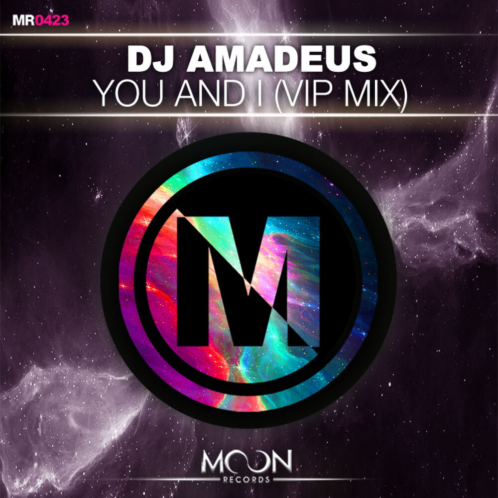 Picture of You and I (VIP Mix)