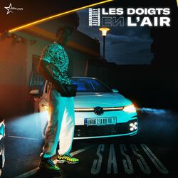 Cover of Les doigts en l'air