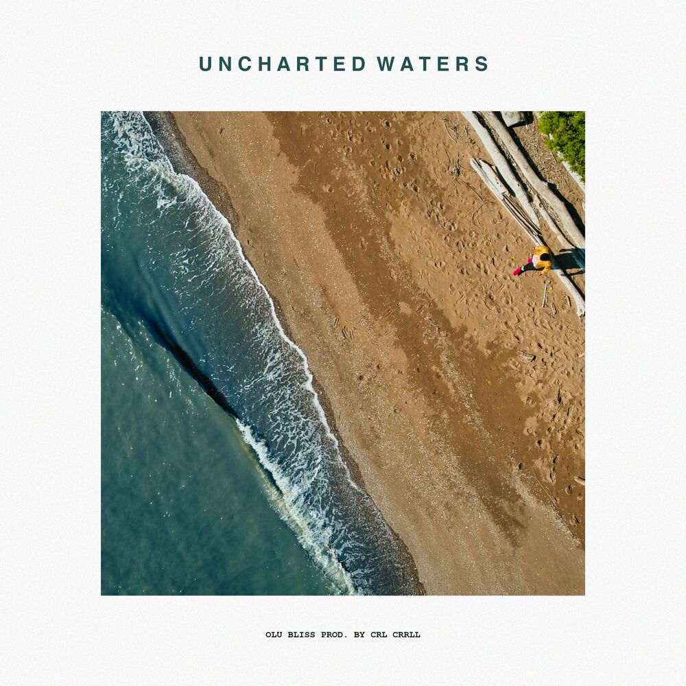 Picture of Uncharted Waters