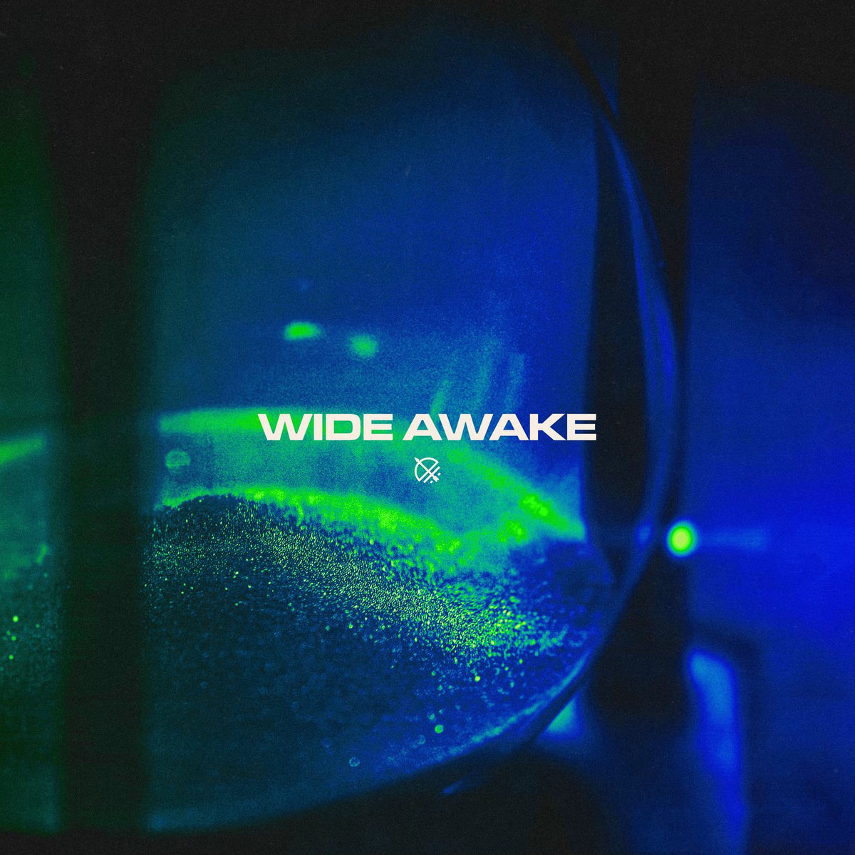 Album cover of Wide Awake