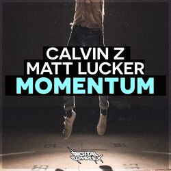 Cover of Momentum
