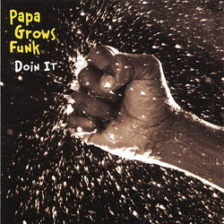Cover of Doin' It