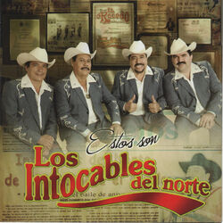 Cover of Estos Son