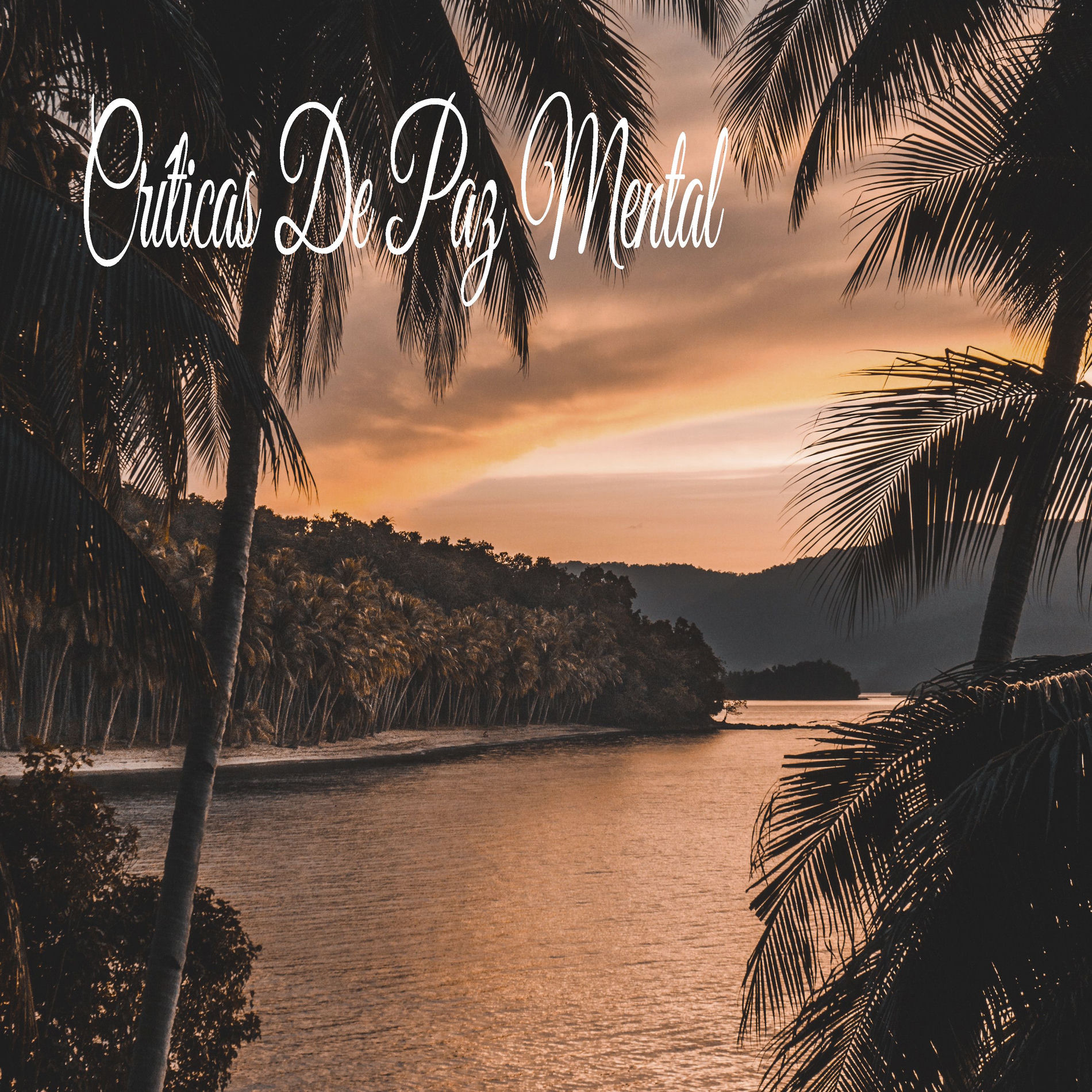 Album cover of Críticas De Paz Mental