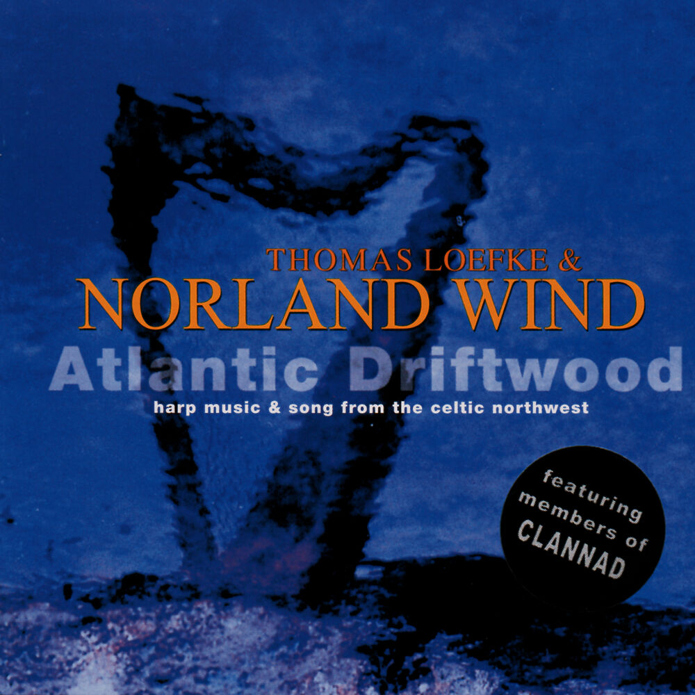 Picture of Antlantic Driftwood