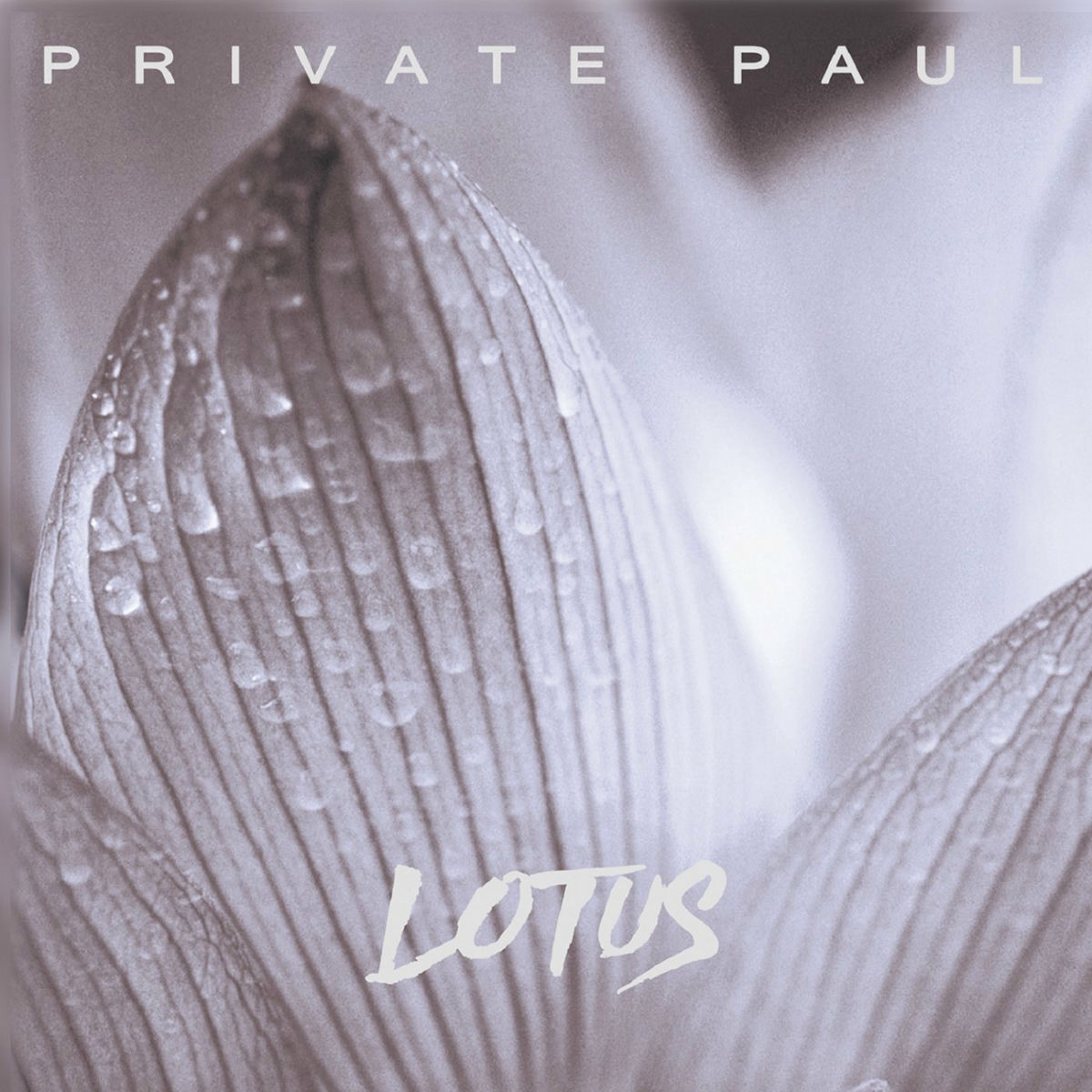 Album cover of Lotus