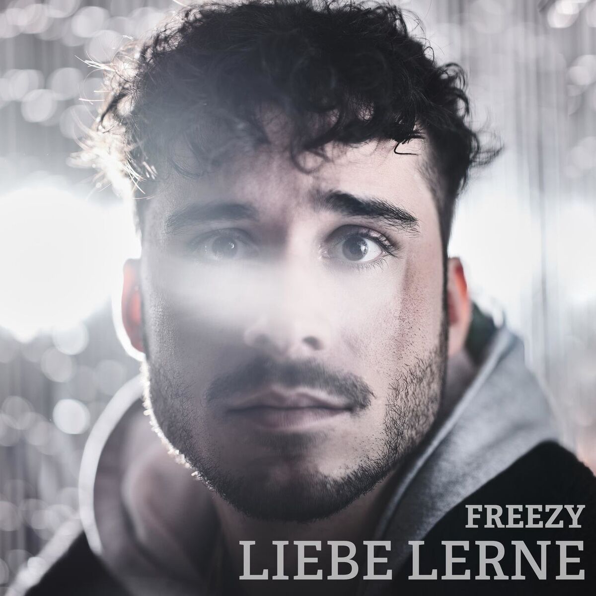Album cover of Liebe lerne