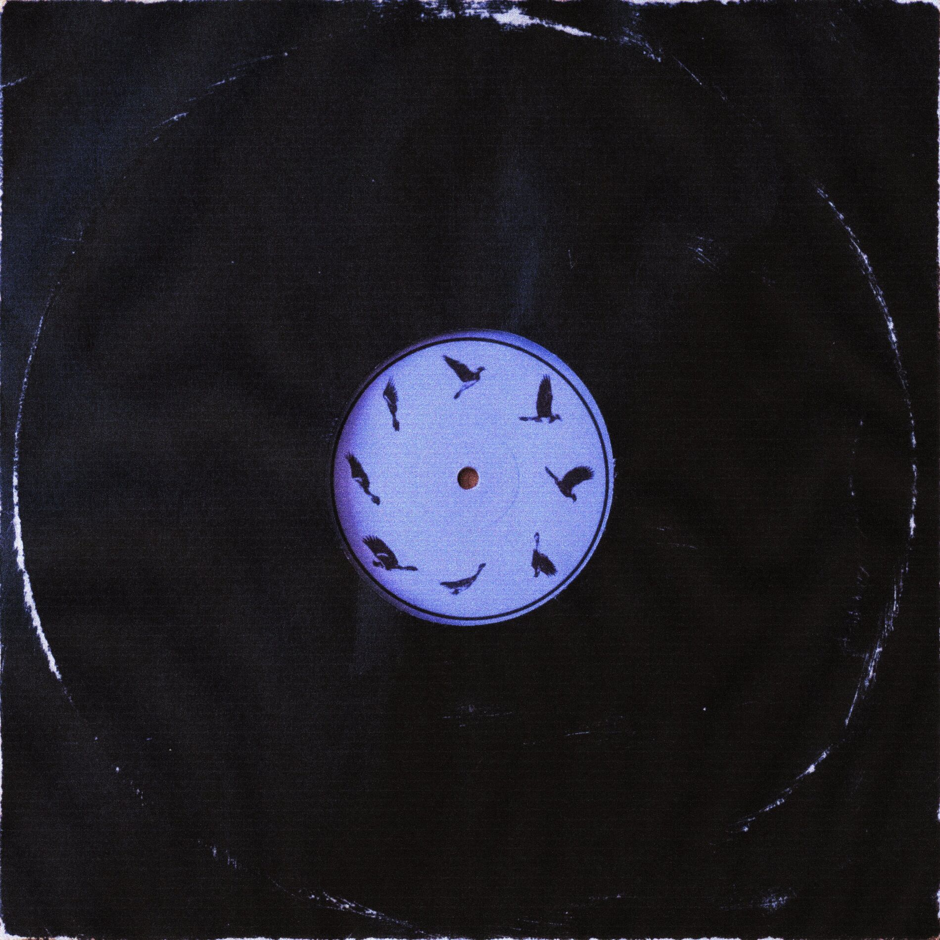 Album cover of What You Won't Do for Love