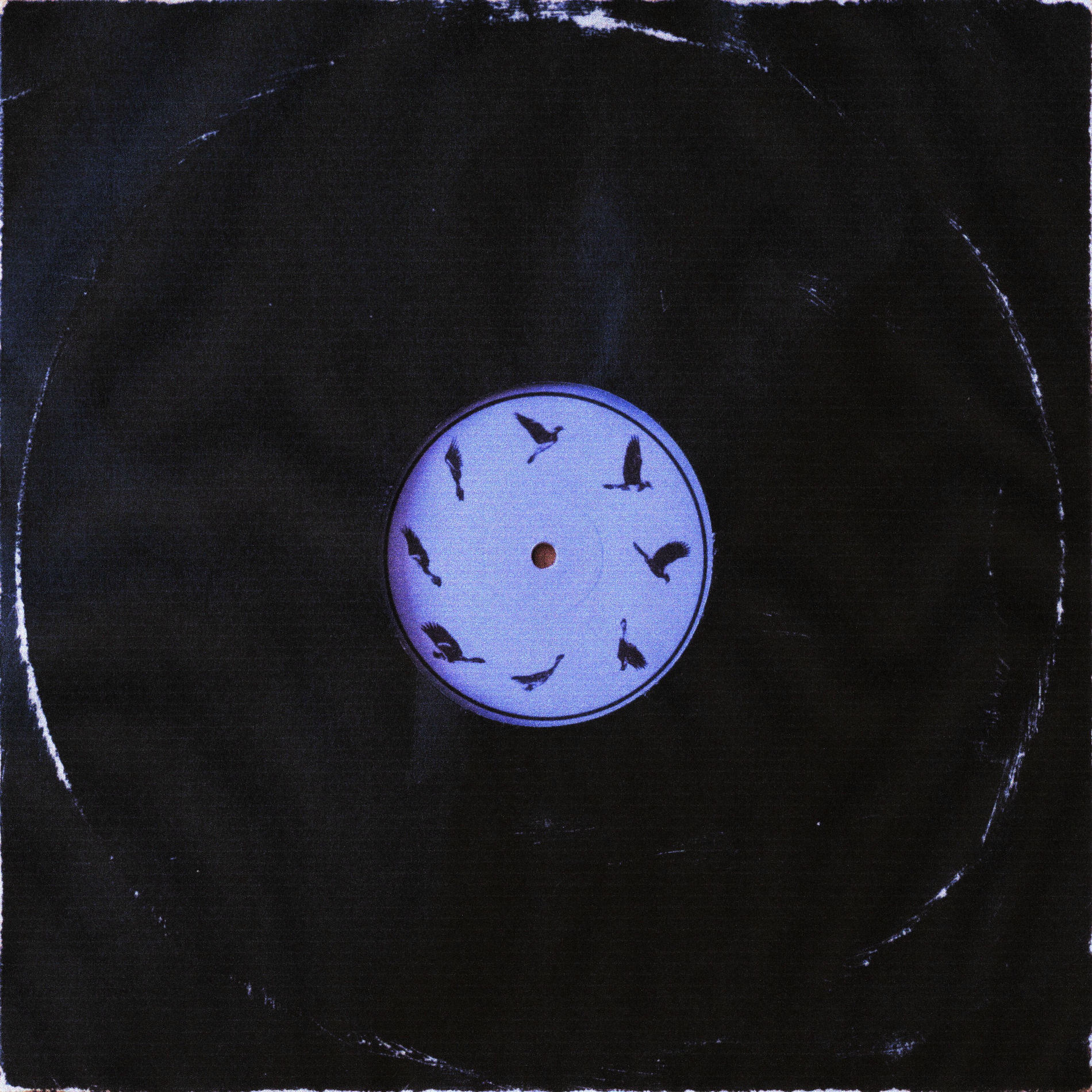 Album cover of What You Won't Do for Love