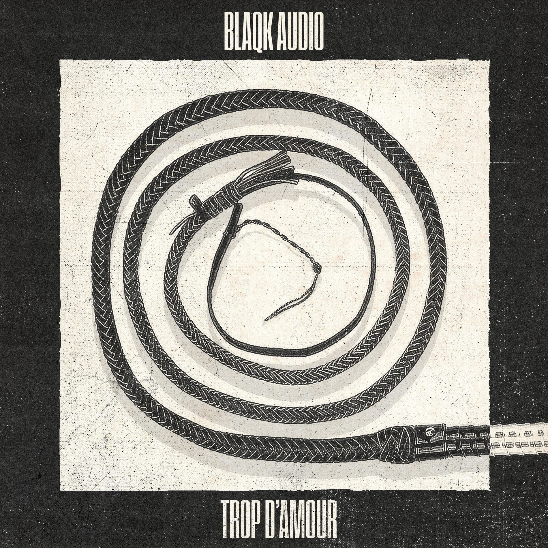 Album cover of Trop d'amour