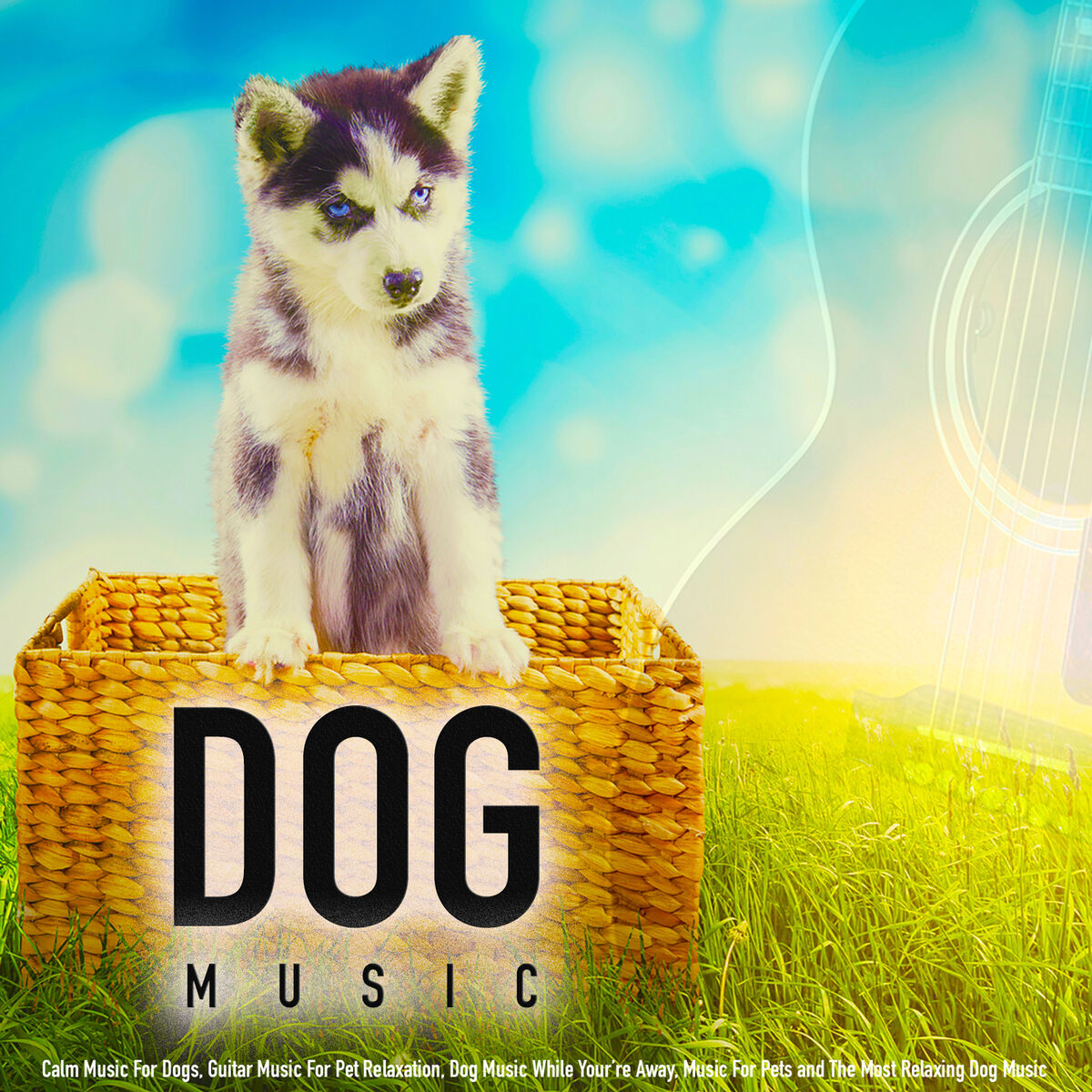 Album cover of Calm Music for Dogs and Pets