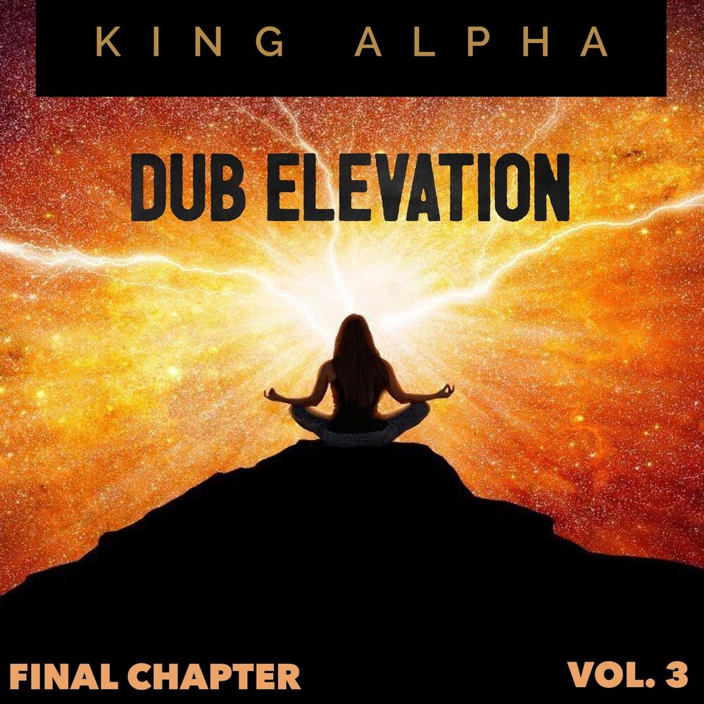 Picture of Dub Elevation Vol. 3 (Final Chapter)