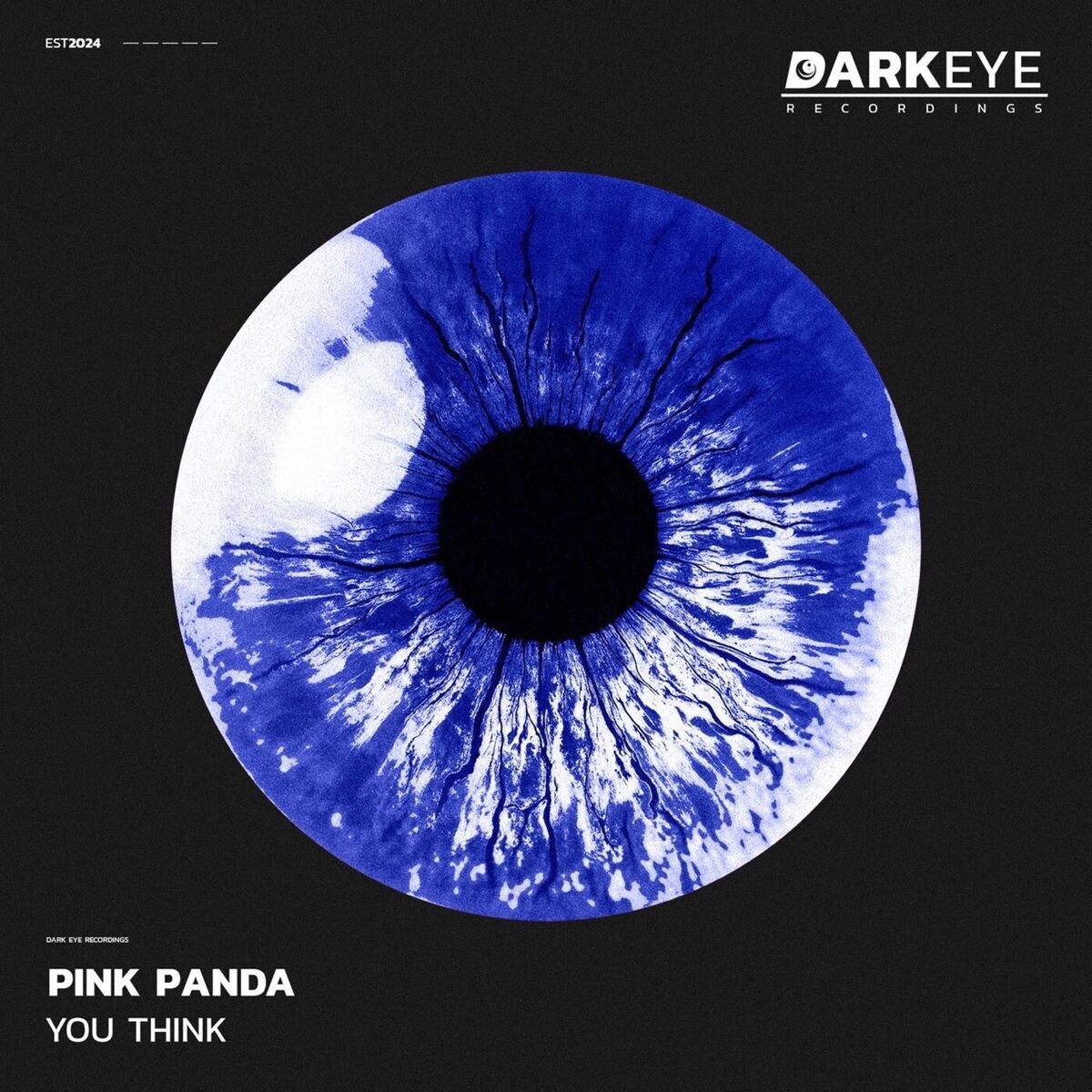 Album cover of You Think