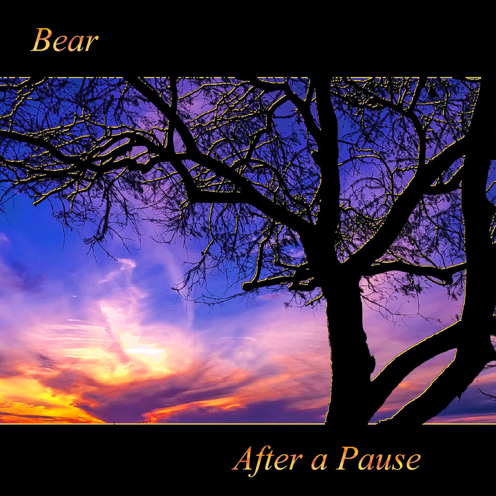 Picture of After a Pause