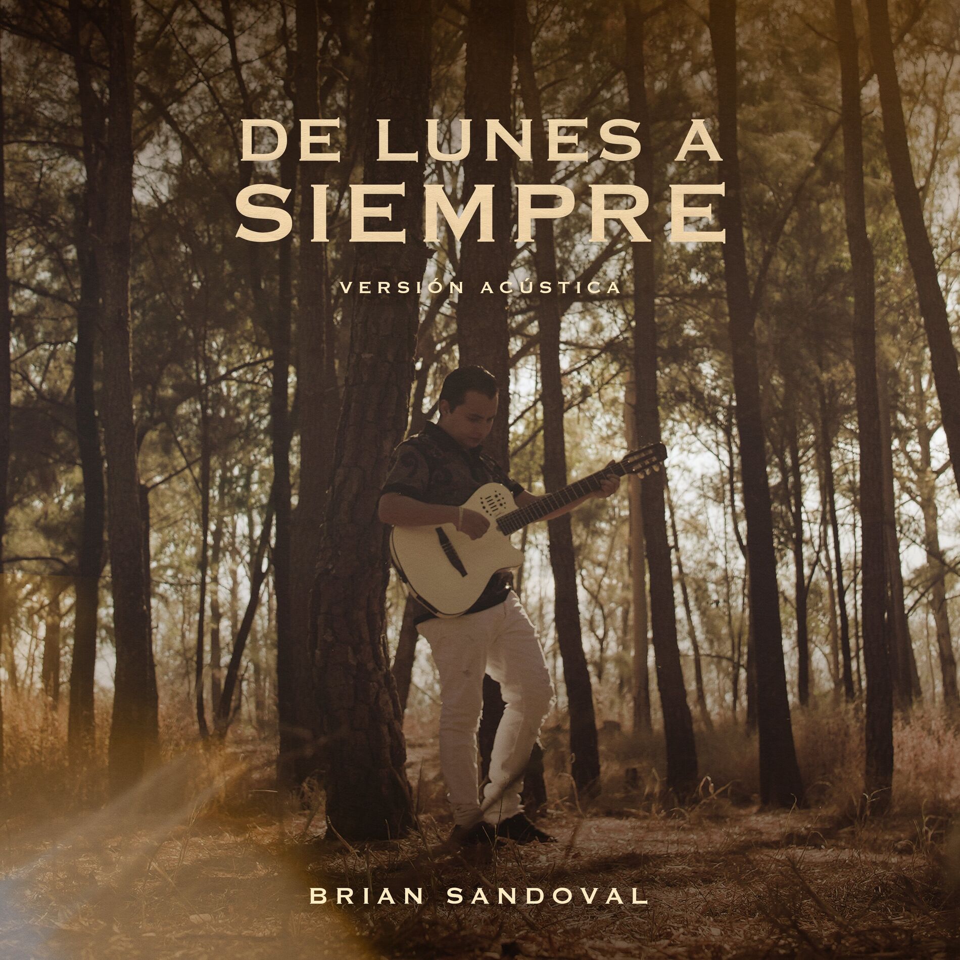 Album cover of De Lunes a Siempre