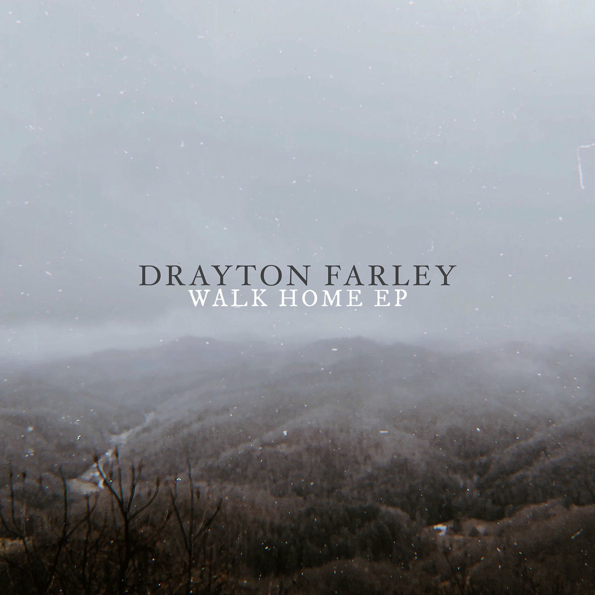 Album cover of Dreamer