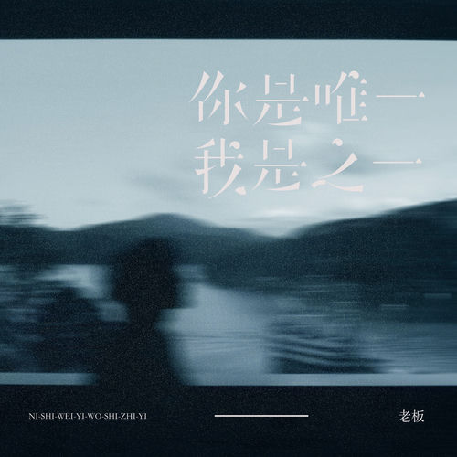 你是唯一我是之一