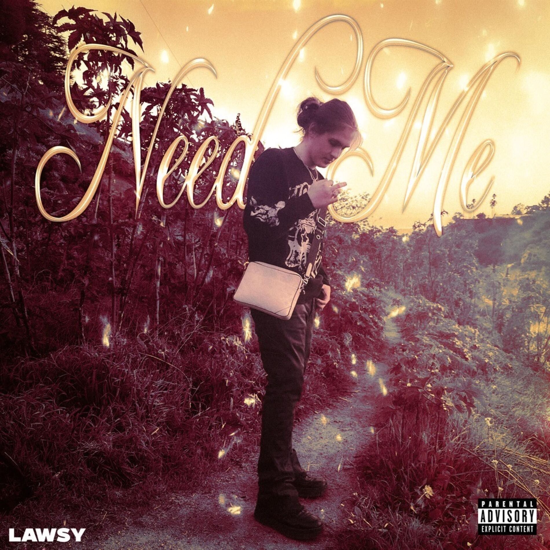 Album cover of Need Me