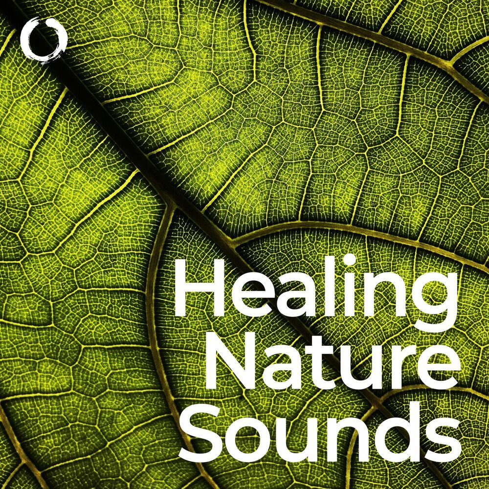 Picture of Healing Nature Sounds: Stress Relief and Well-being