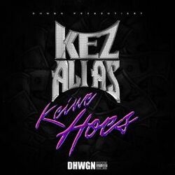 Cover of Keine Hoes