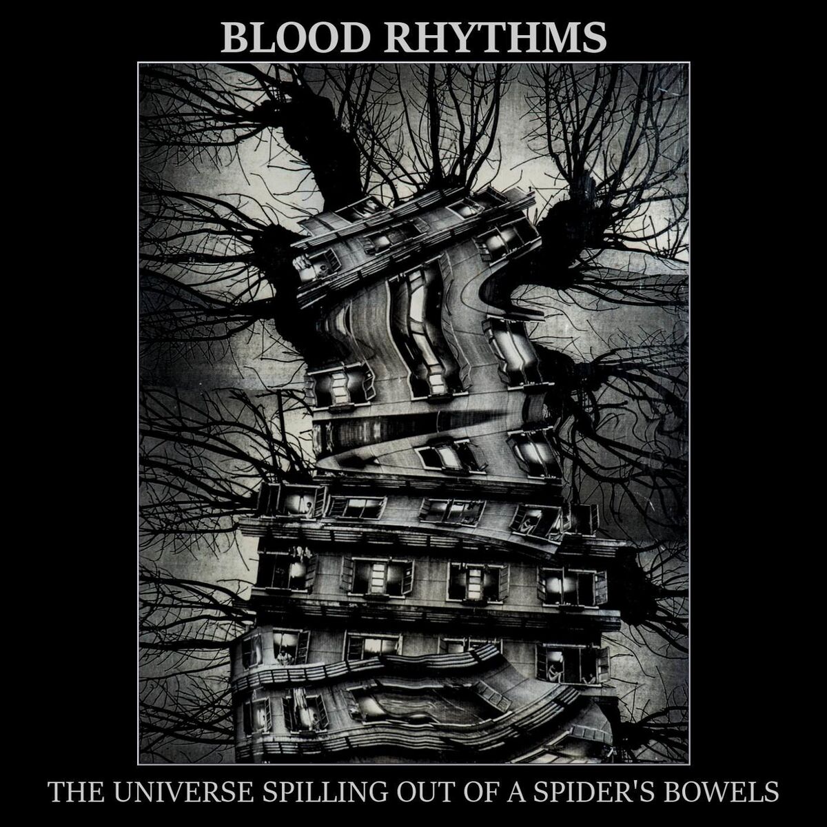 Album cover of The Universe Spilling Out Of A Spider's Bowels