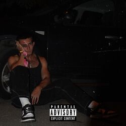 Cover of Luci Di Città