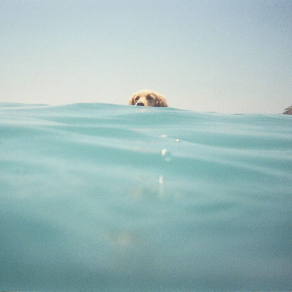 Picture of Bul Beni