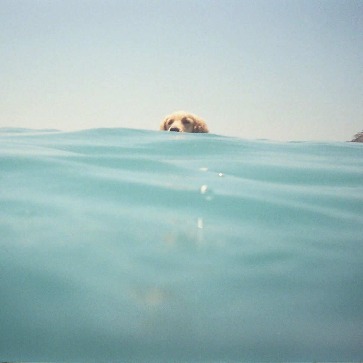 Album cover of Bul Beni