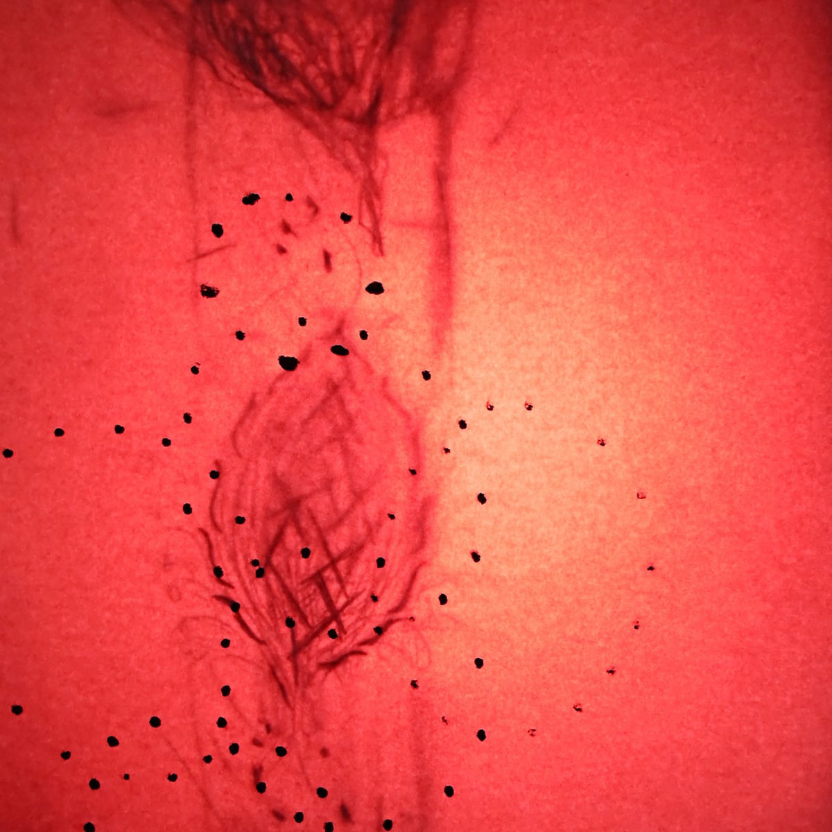 Album cover of Planets