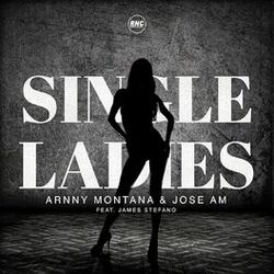 Cover of Single Ladies