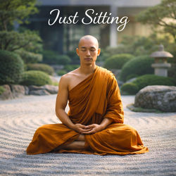 Cover of Just Sitting by undefined
