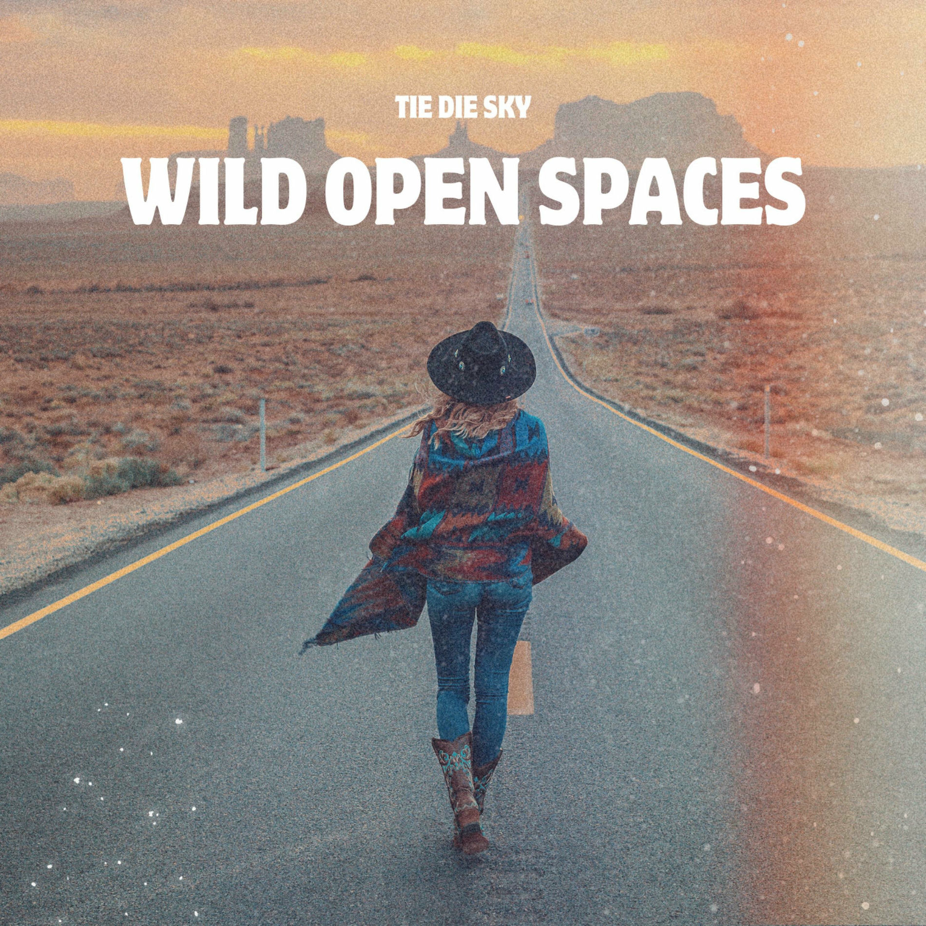 Album cover of Wild Open Spaces (feat. Rachel Morgan Perry)