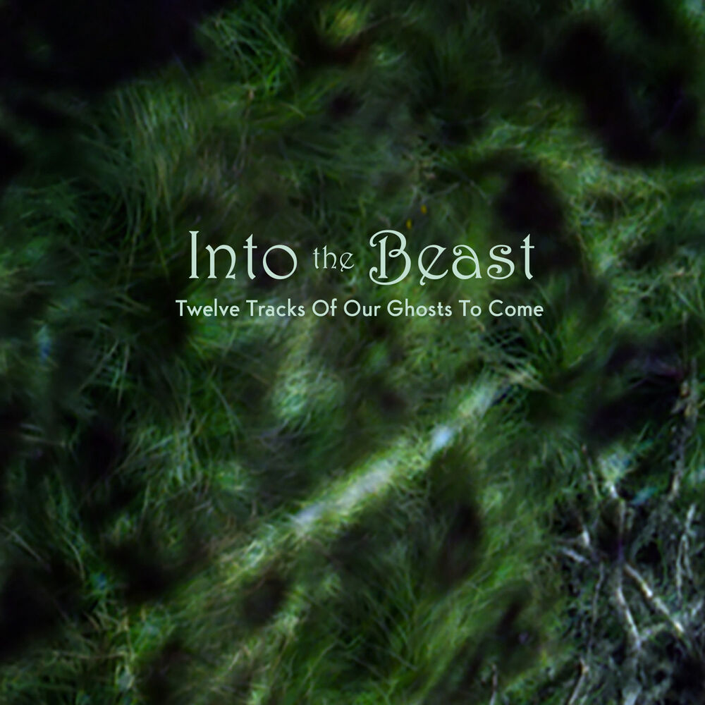 Picture of Twelve Tracks of Our Ghosts to Come