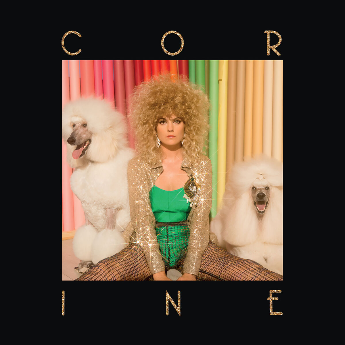 Album cover of Pourquoi pourquoi