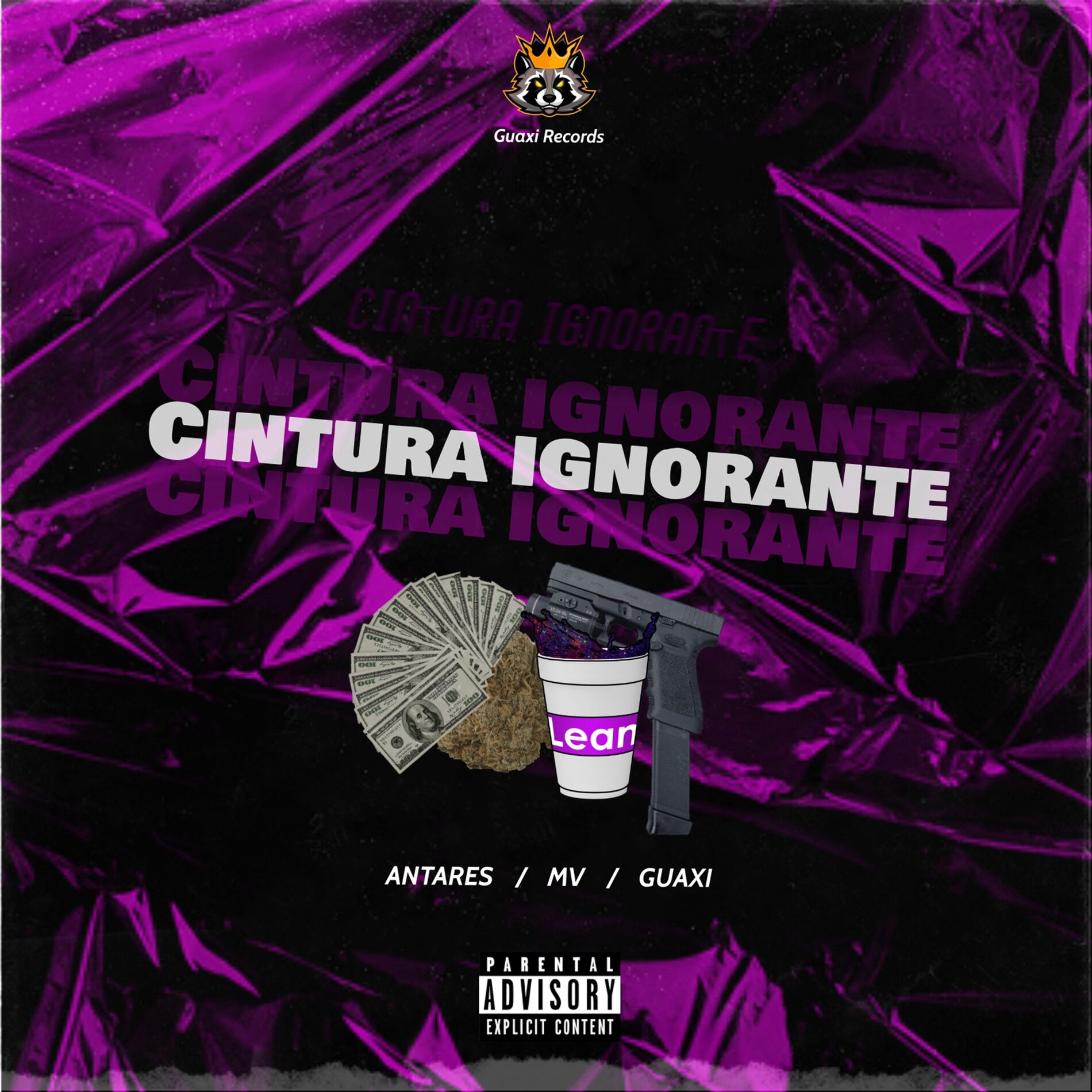 Album cover of Cintura Ignorante