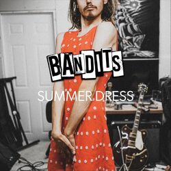 Cover of Summer Dress