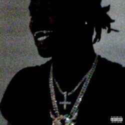 Cover of A Great Chaos