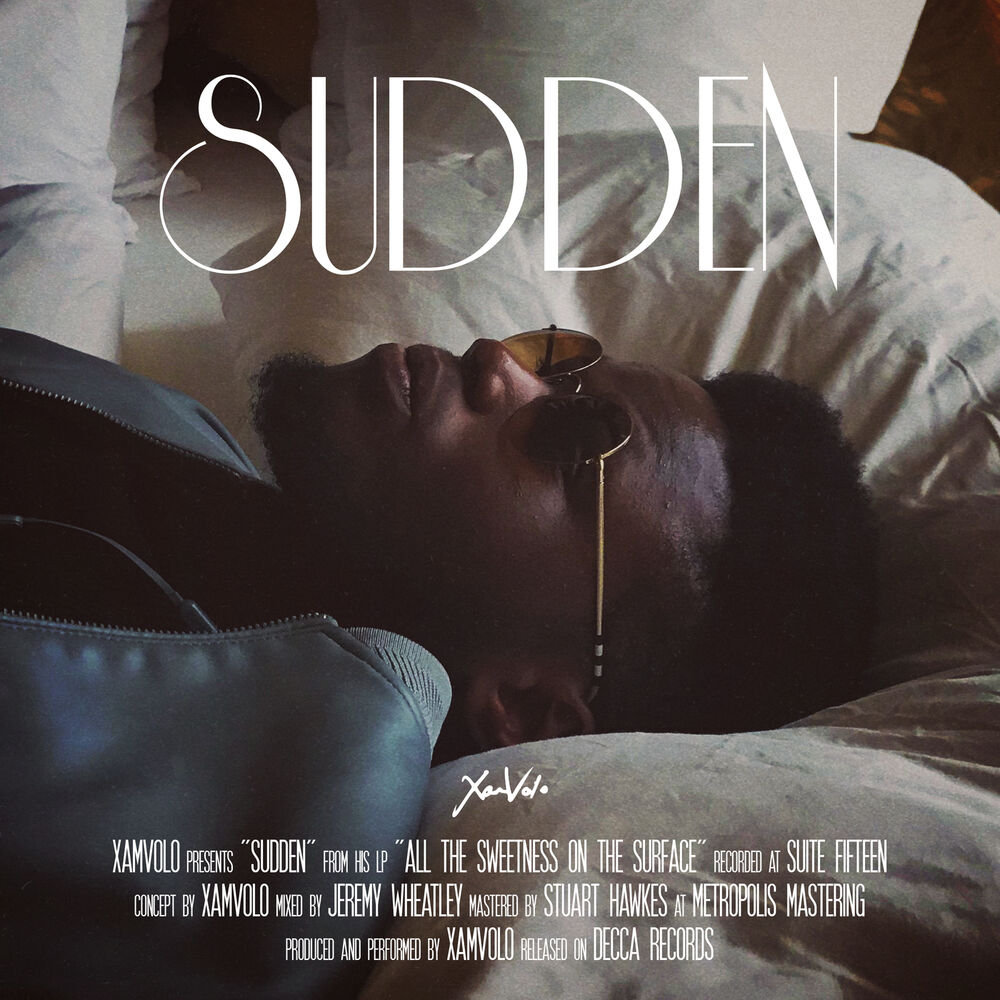 Picture of Sudden